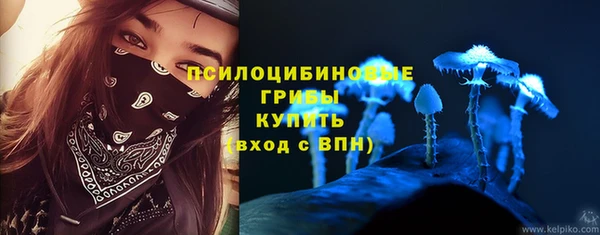 PSILOCYBIN Алзамай