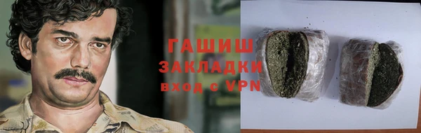 PSILOCYBIN Алзамай