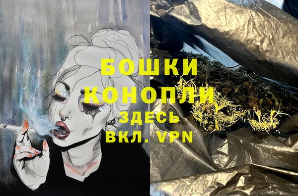 apvp Алексин