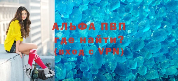 индика Киреевск