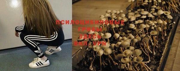 соль курить ск Абинск