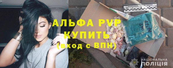 индика Гусиноозёрск